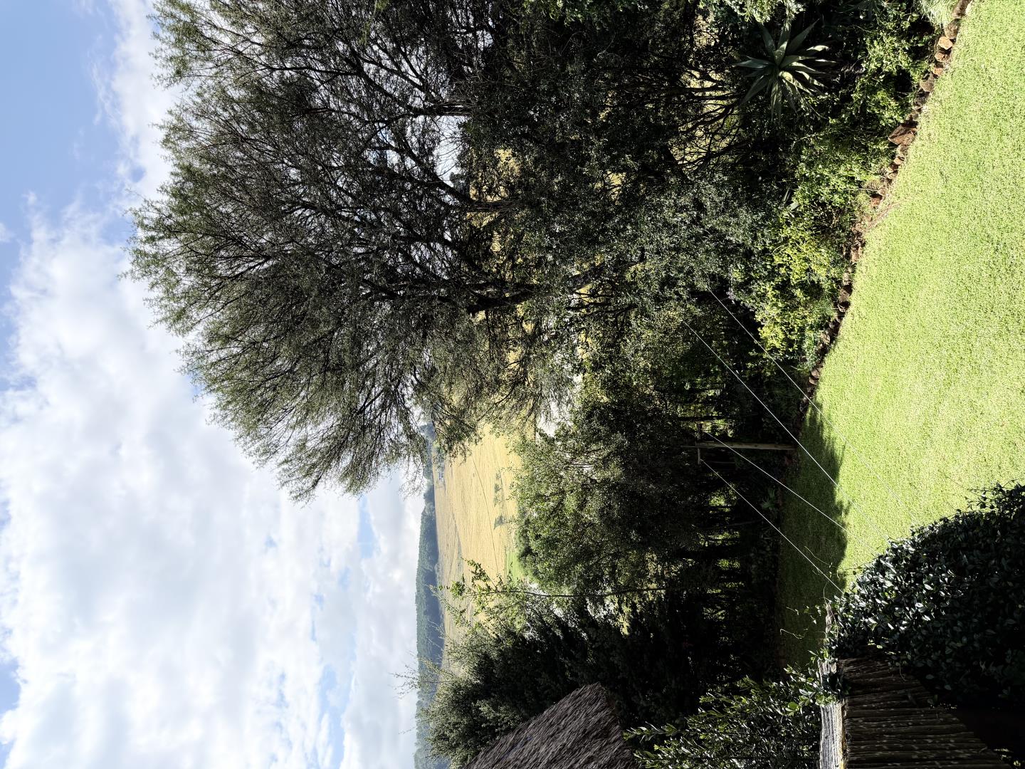 765588_IMG_1744.jpeg