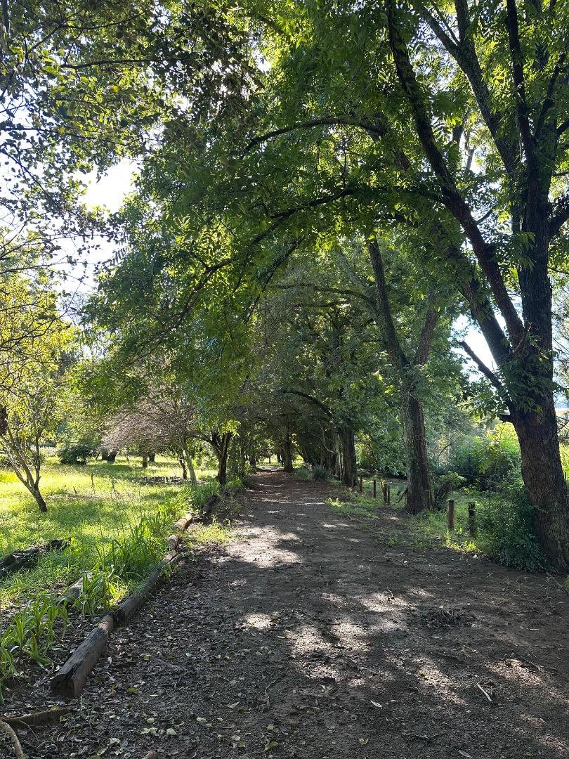 Smallholding for Sale - KwaZulu Natal
