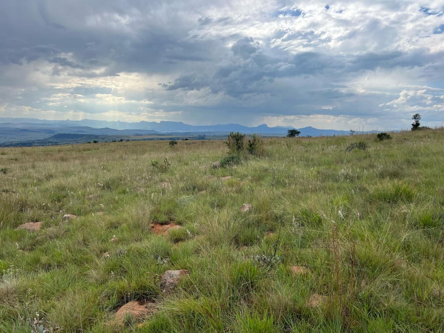 Farm for Sale - KwaZulu Natal
